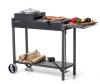 МАНГАЛ МАН 302